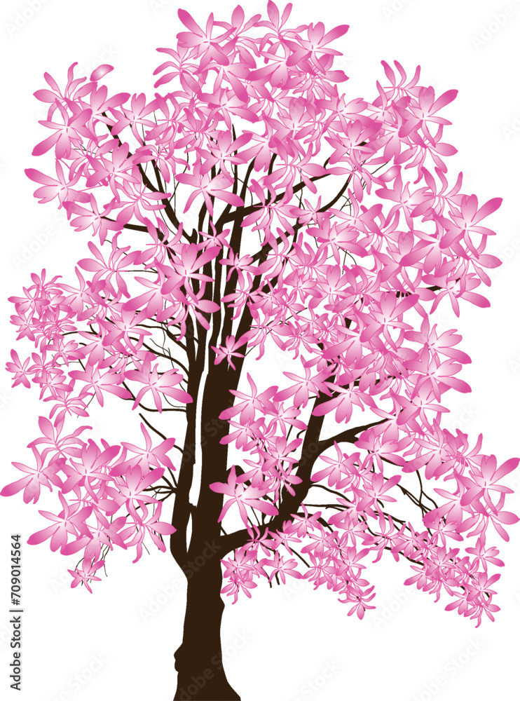 Fototapeta premium isolated tree in bright pink large blooms