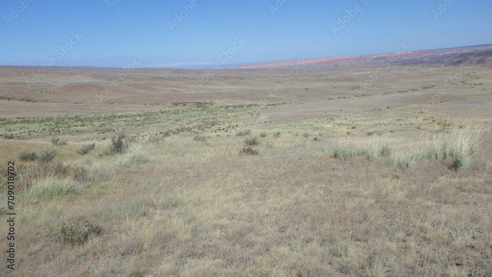 the grassland is a big habitat on earth
