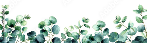 Delicate border design of green and eucalyptus leaves in watercolor style, creates a serene and natural ambiance, isolated on transparent or white background photo