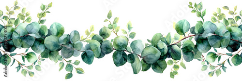 Watercolor illustration of eucalyptus branches with lush green leaves spanning across, isolated on transparent or white background