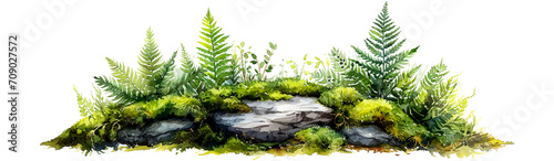 Watercolor painting of lush green ferns and foliage on the rock  showcasing vibrant diversity against  isolated on transparent or white background