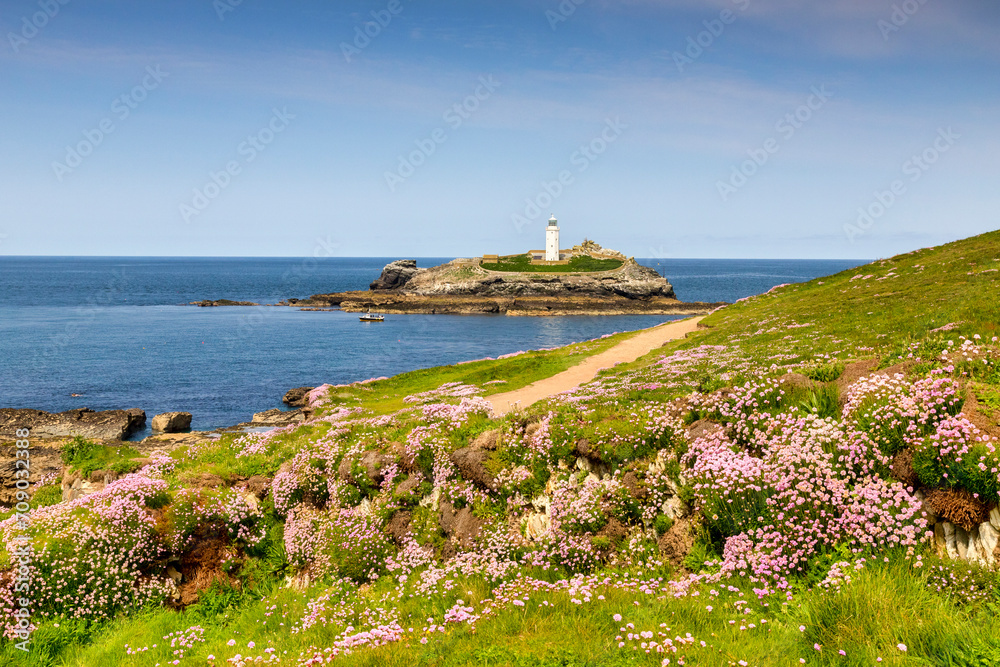 Godrevy Head, Cornwall, UK - Godrevy Head and Godrevy Lighthouse on a sunny spring day, and an abundance of sea thrift in bloom.