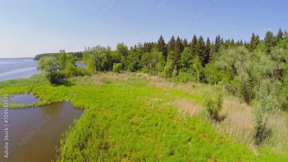 Forest on shore of water reservoir under blue sky at sunny summer Forest on shore of water reservoir under blue sky at sunny summer
