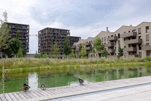 meadow with flowering plants and a pond with ducks near a complex of modern residential buildings