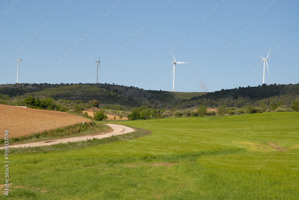 Fototapeta premium Agricultural landscape with aerogenerators on the horizon, near Puerto Lapice, Ciudad Real Province, Castilla-La Mancha, Spain