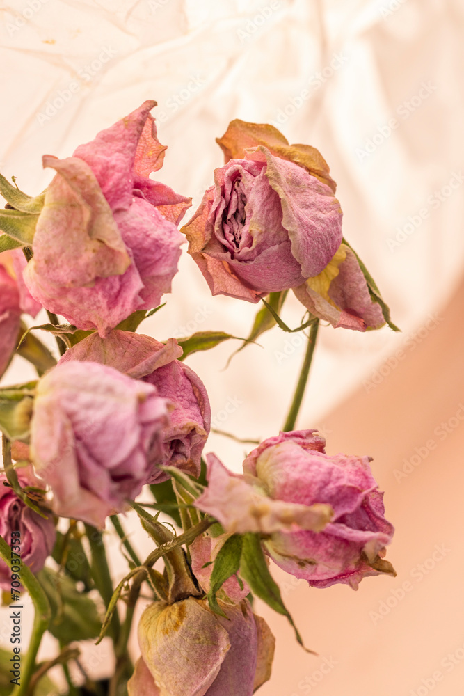 Concept shot of the background theme, wrapping paper, dried roses other flowers and other arrangements. Valentines day