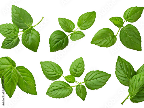 green leaves isolated png generative AI