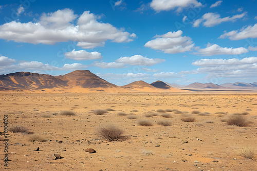 Landscape in the desert of Africa.