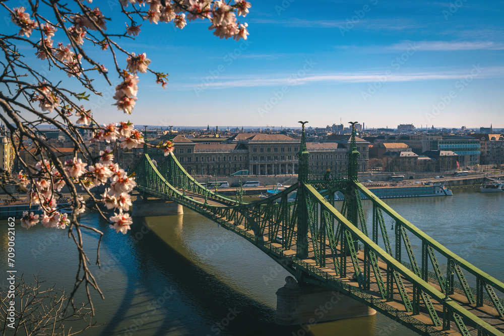 Naklejka premium Spectacular spring blooming trees and Liberty Bridge in Budapest
