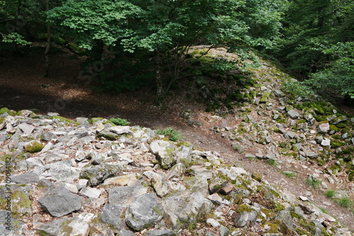 Wanderweg am Hunnenring Otzenhausen photo