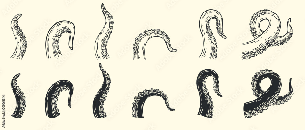 Set octopus tentacles different poses isolated on white background in cartoon hand drawn style. Monochrome vector illustration. Set octopus tentacles different poses isolated on white background in cartoon hand drawn style. Monochrome vector illustration.