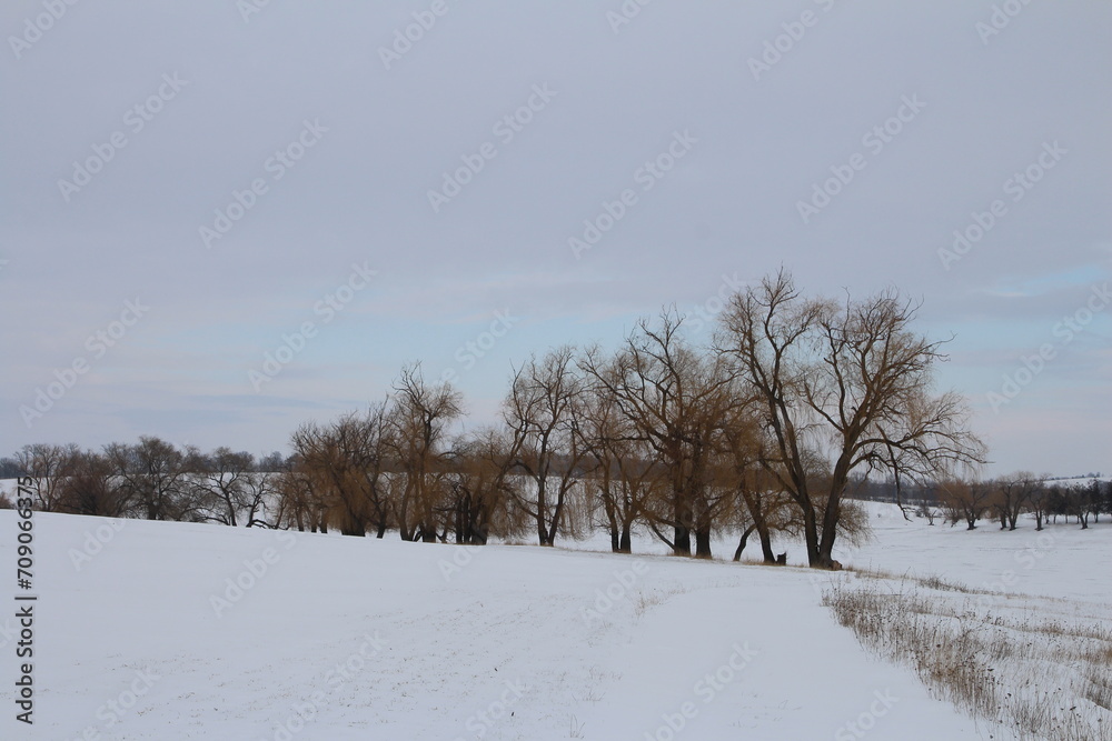 A snowy field with trees and a snowy landscape with a snowy mountain in the background A snowy field with trees and a snowy landscape with a snowy mountain in the background