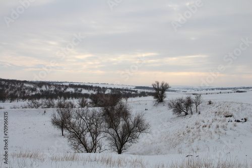 A snowy landscape with trees and a cloudy sky