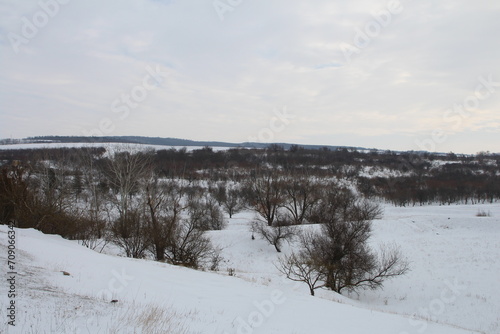 A snowy landscape with trees and a snowy landscape