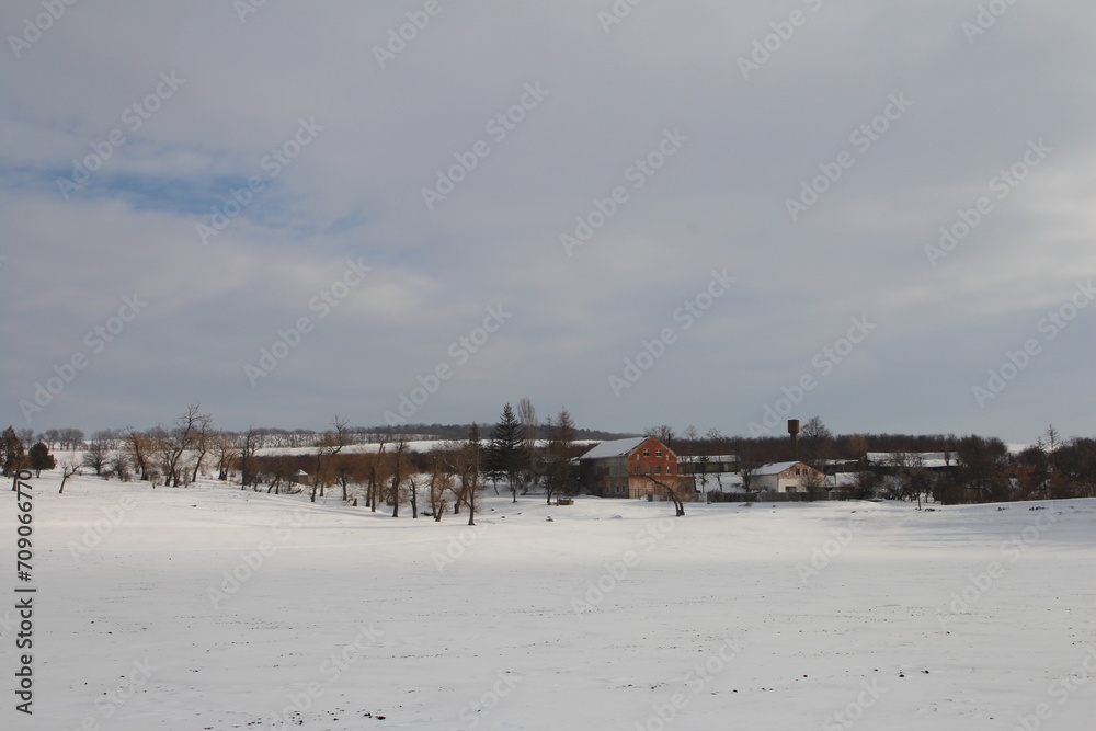 A snowy field with a house and trees and a snowy landscape A snowy field with a house and trees and a snowy landscape