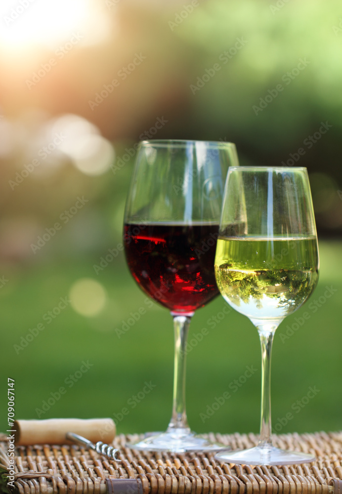 Two glasses of the white and red  wine