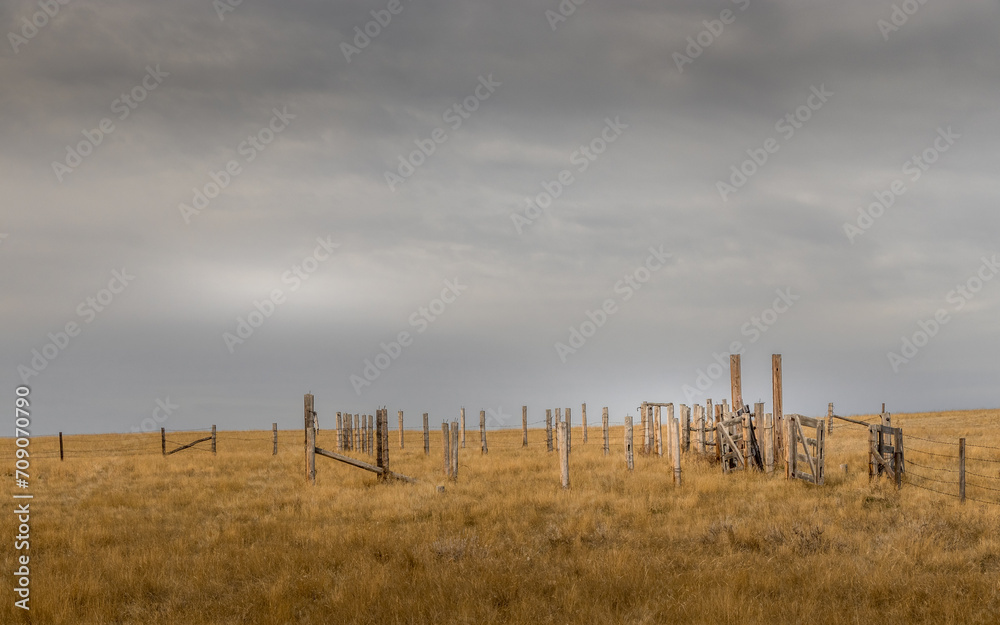 Obraz premium Fence line stretches across the plains Vulcan County Alberta Canada