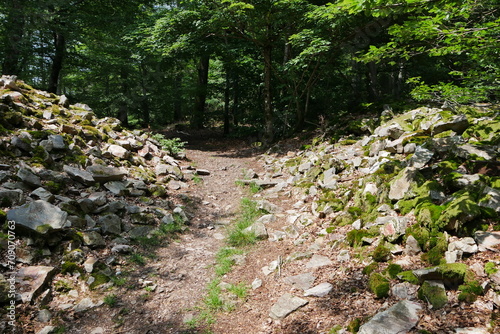 Hunnenring Otzenhausen photo