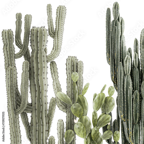  Collection of cacti potted desert plants Cereus Prickly pear  isolated on white background  photo