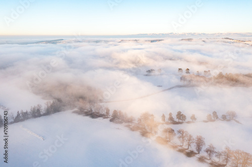 Aerial view of snowy fields with tree and road covered with ice in winter © FRPhotos