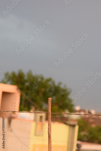 a bamboo between red and blue sky