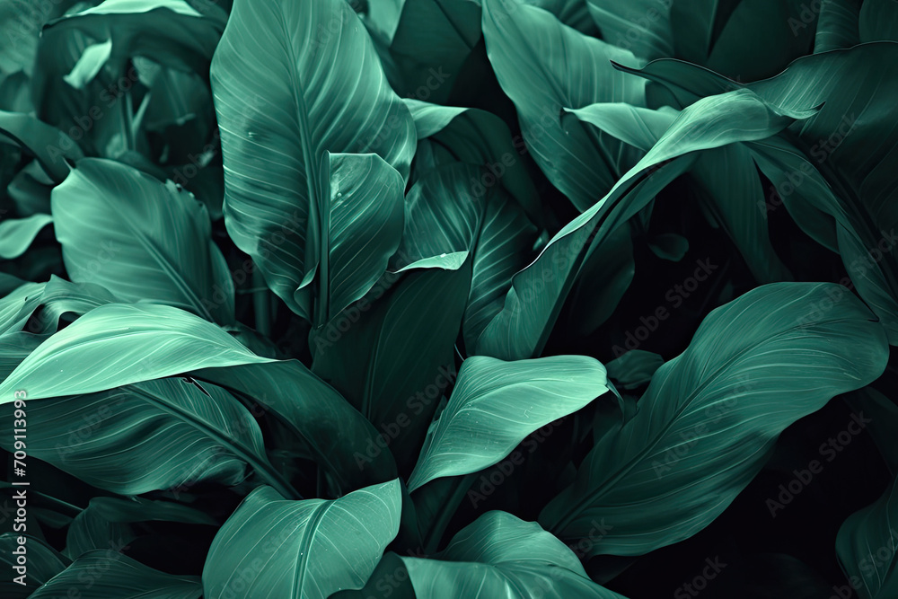 custom made wallpaper toronto digitalgreen leaf texture, dark green foliage nature background, tropical leaf