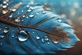 Beautiful fluffy air blue feather bird with spots and droplets of rain water dew on a blue brown bac