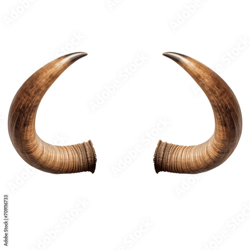 Bull horns isolated on a transparent or white background. Horn overlay for insertion. Design elements to insert into a design or project. photo