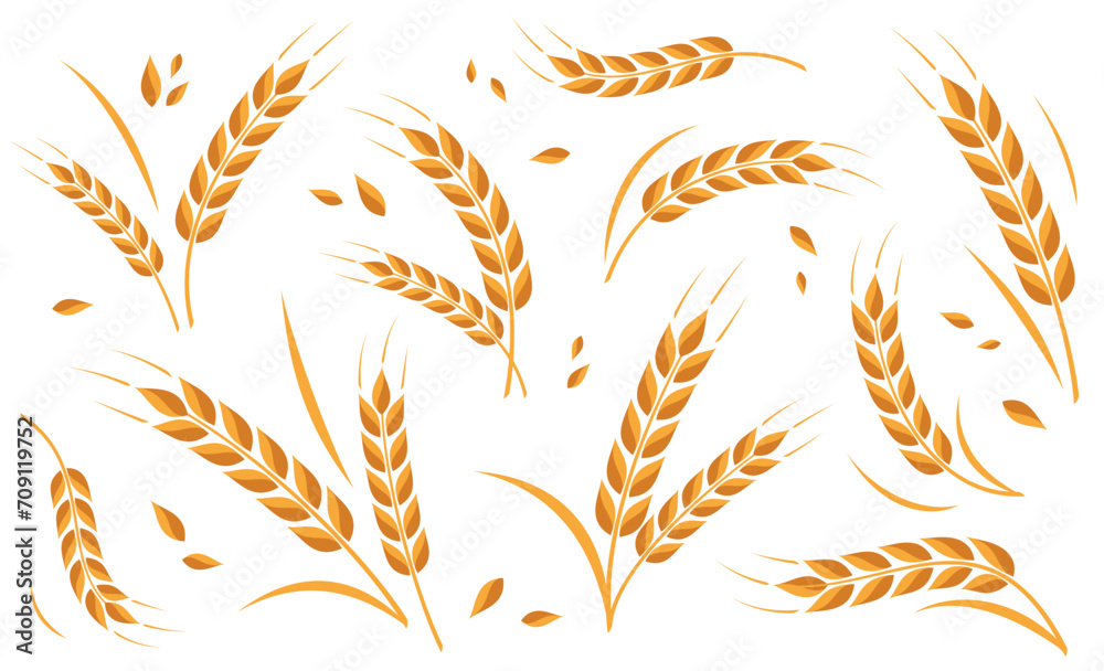Ear of wheat and wheat grain on white background. Organic wheat, bread agriculture and natural eat. Agricultural background template. Isolated. Vector illustration - obrazy, fototapety, plakaty 
