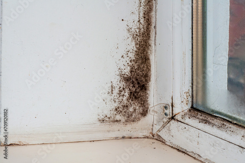 Winter issue: wall freezing, condensation, and black mold on plastic window slope