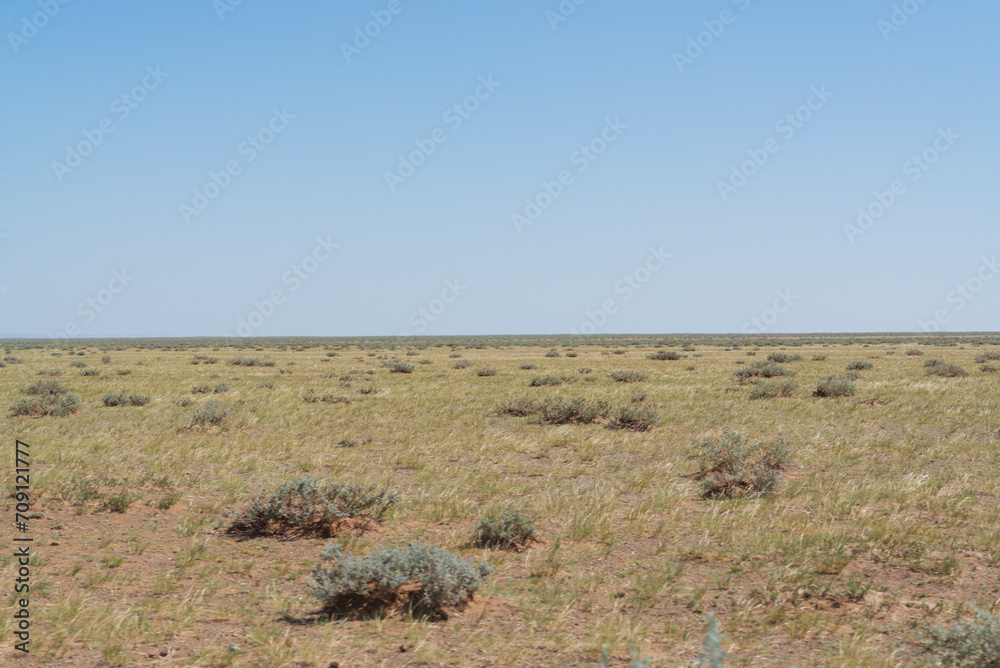Obraz premium gobi desert 