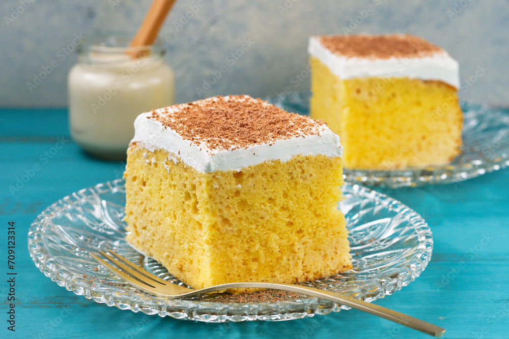 メキシコのスイーツ パステル・デ・トレス・レチェス(3種のミルクのケーキ)とトレス・レチェス コピースペースあり
Mexican sweets Pastel de Tres Leches( Mexican Tres Leches Cake,Tres Leches Cake,Three Milk Cake) and Tres Leches with copy space メキシコのスイーツ パステル・デ・トレス・レチェス(3種のミルクのケーキ)とトレス・レチェス コピースペースあり
Mexican sweets Pastel de Tres Leches( Mexican Tres Leches Cake,Tres Leches Cake,Three Milk Cake) and Tres Leches with copy space