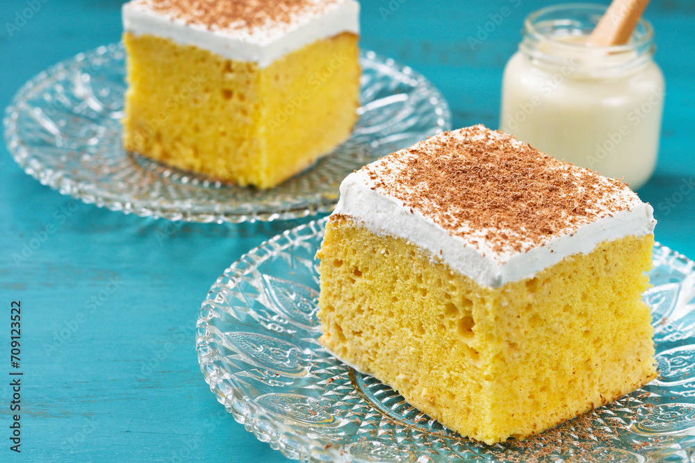 メキシコのスイーツ パステル・デ・トレス・レチェス(3種のミルクのケーキ)とトレス・レチェス コピースペースあり
Mexican sweets Pastel de Tres Leches( Mexican Tres Leches Cake,Tres Leches Cake,Three Milk Cake) and Tres Leches with copy space メキシコのスイーツ パステル・デ・トレス・レチェス(3種のミルクのケーキ)とトレス・レチェス コピースペースあり
Mexican sweets Pastel de Tres Leches( Mexican Tres Leches Cake,Tres Leches Cake,Three Milk Cake) and Tres Leches with copy space