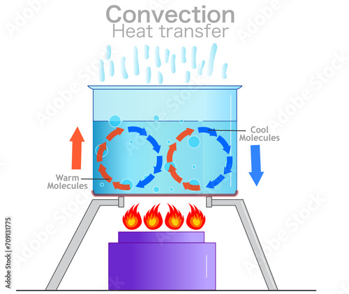 Convection, heat transfer currents, labeled diagram. Mass movement of water. Warm, cool molecules energy movement. Cycle stove fire, hot water liquid in transparent pot. Vector illustration 