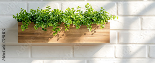 Wooden plant pot hanging in front of an white brick wall. Modern stylish white brick wall with shelves and plants.