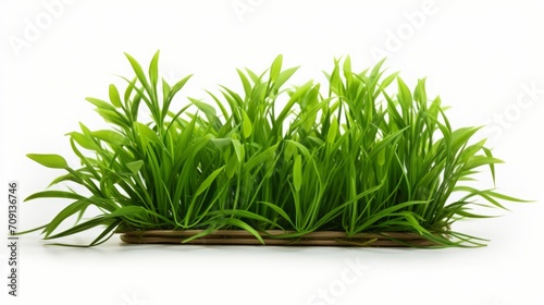 The product photo accentuates Imperata cylindrica against a solid white background, bringing out its vibrant green hue.