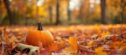 Autumn  Pumpkin  Sweaters  Living Slow.