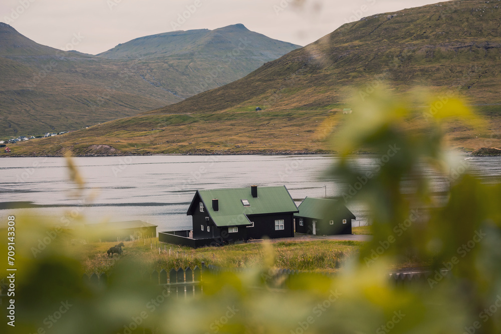 Fototapeta premium fjordand mountains with with black house in the foreground and blurry leaves