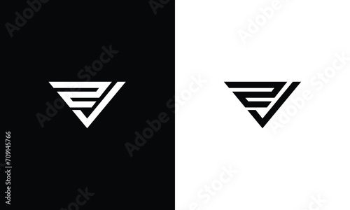 Minimal Luxury ZV Initial Based White and Black color logo