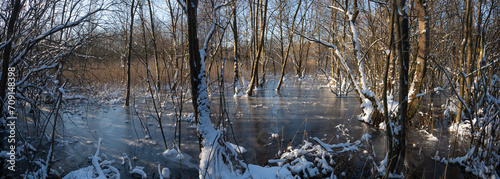 Ahrensburger Tunneltal - Winterlandschaft