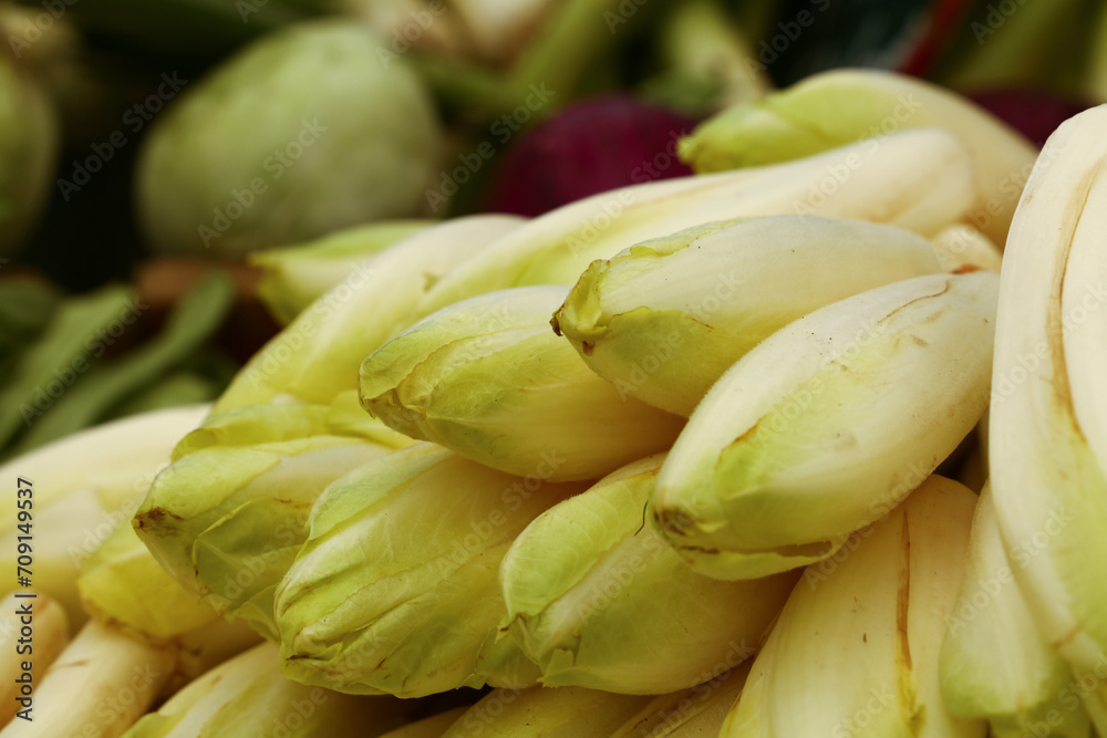 Fresh green endive Fresh green endive