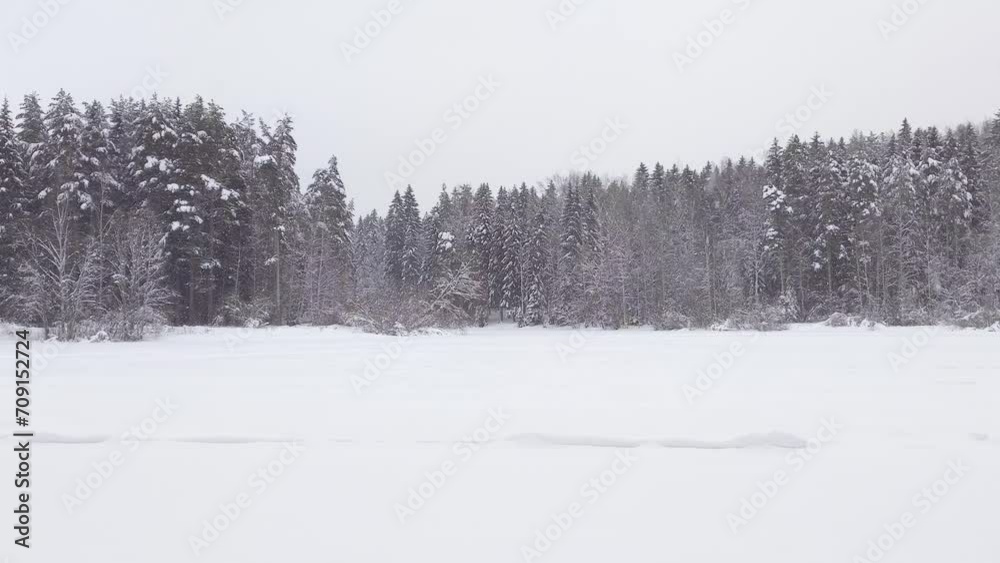 Panning shot of a frozen lake in a forest covered with snow during a snowfall (Lake Svetloe, Toksovskoe urban settlement, Leningrad oblast, Russia) Panning shot of a frozen lake in a forest covered with snow during a snowfall (Lake Svetloe, Toksovskoe urban settlement, Leningrad oblast, Russia)