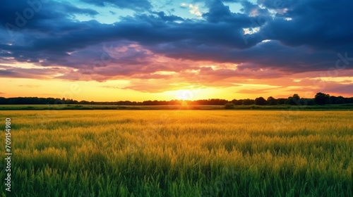 sunset in the field © Abdullah