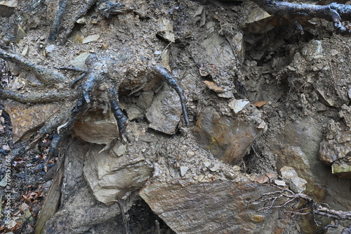 Schlamm, Geröll und Baumwurzeln an einem regennassen Abhang, Detailaufnahme photo