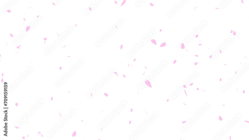 桜吹雪2_CGイラスト_透過素材 - obrazy, fototapety, plakaty 