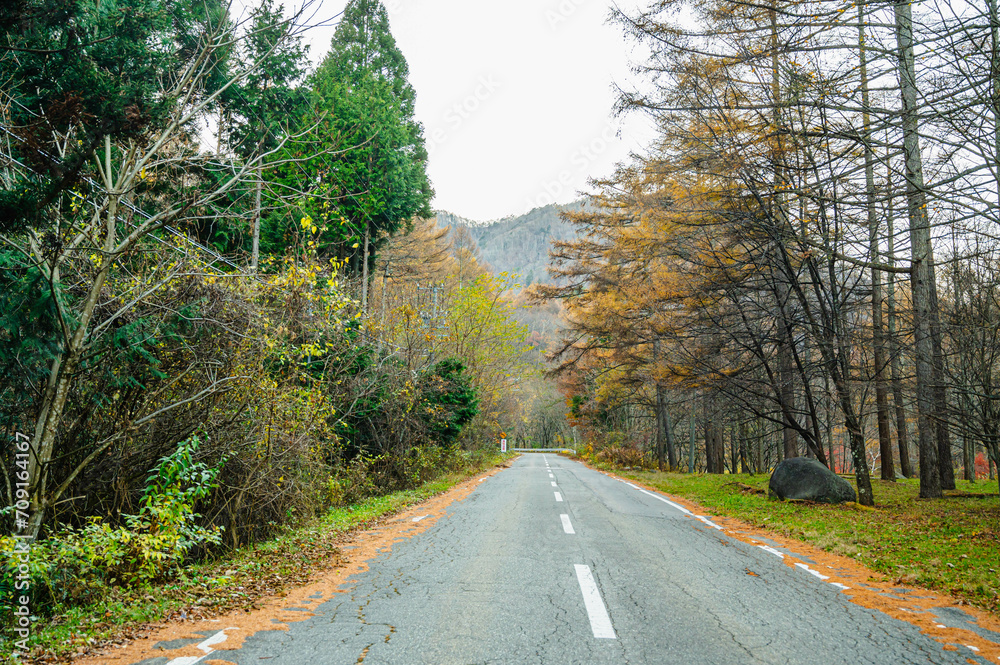 Fototapeta premium 巣栗渓谷へ続く道