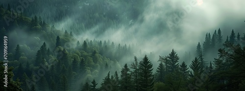 Mystic Forest Fog: Textured Organic Landscape and Atmospheric Mountain Vista Paintings photo