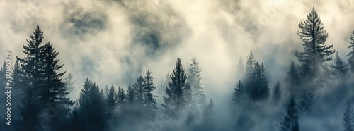 Enchanted Forest Mist: Serene Nature Patterns and Mountain Vistas