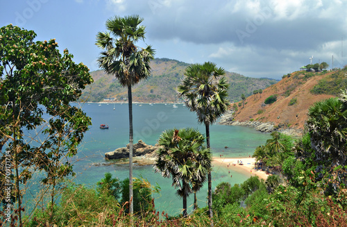 Nature of Thailand on a summer day.