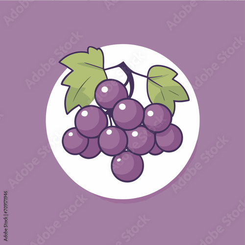 Grape illustration fruit vector design